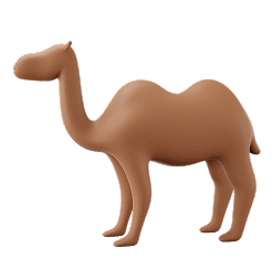 Camel